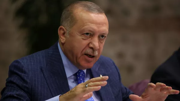 أردوغان - سبوتنيك عربي