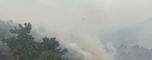 حرائق ضخمة تلتهم المساحات الحرجية في لبنان - سبوتنيك عربي