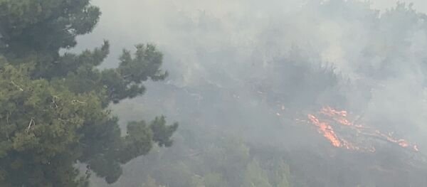 حرائق ضخمة تلتهم المساحات الحرجية في لبنان - سبوتنيك عربي