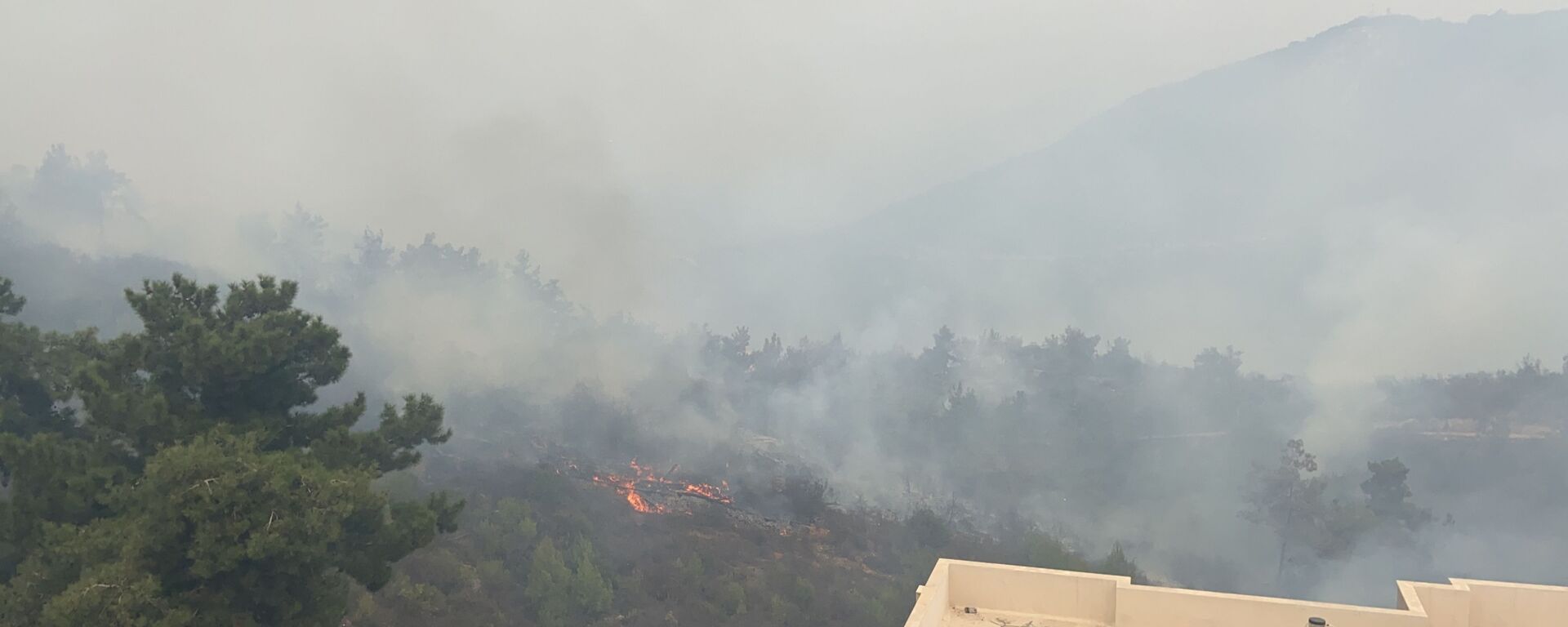حرائق ضخمة تلتهم المساحات الحرجية في لبنان حرائق ضخمة تلتهم المساحات الحرجية في لبنان - سبوتنيك عربي, 1920, 12.11.2022