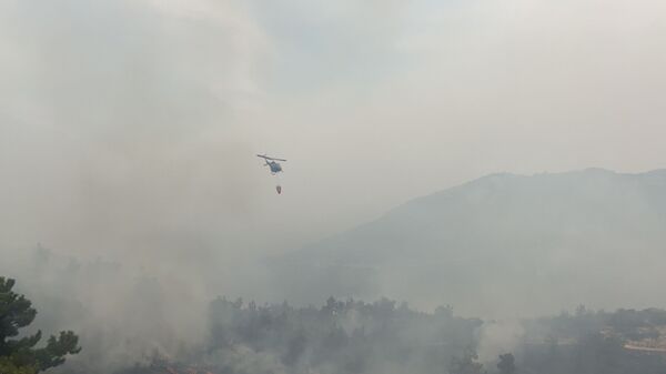 فيديو...حرائق ضخمة في لبنان والأب خنيصر: 90% من الحرائق مفتعلة فيديو...حرائق ضخمة في لبنان والأب خنيصر: 90% من الحرائق مفتعلة - سبوتنيك عربي