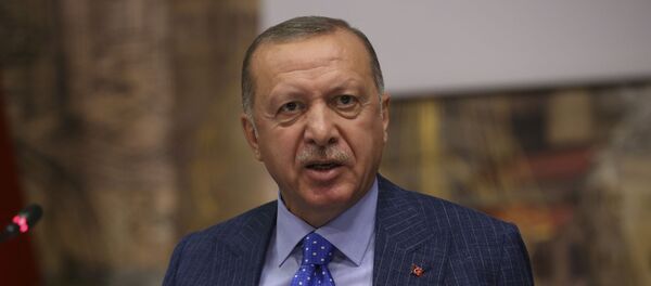 أردوغان - سبوتنيك عربي