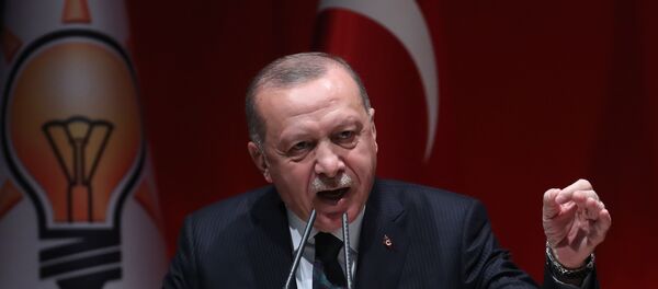 الرئيس التركي رجب طيب أردوغان - سبوتنيك عربي