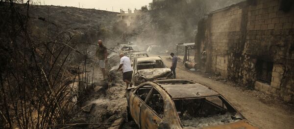 الحرائق في لبنان - سبوتنيك عربي