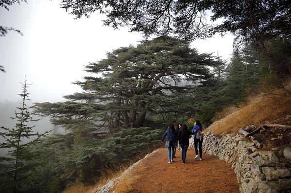 لبنان بين ألسنة اللهب المشتعلة والدولة تائهة بين الدخان - سبوتنيك عربي