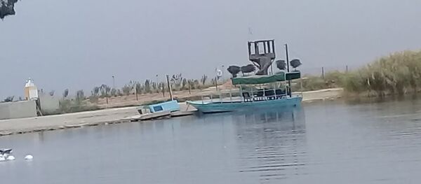 الشرطة الروسية تدخل مدينة عين العرب.. والجيش السوري يرابط جنوبها الشرطة الروسية تدخل مدينة عين العرب.. والجيش السوري يرابط جنوبها - سبوتنيك عربي