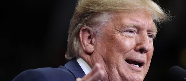 الرئيس الأمريكي دونالد ترامب - سبوتنيك عربي