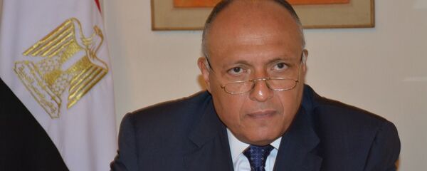 سامح شكري وزير الخارجية المصري - سبوتنيك عربي