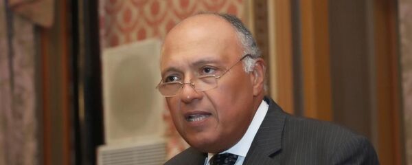 سامح شكري - سبوتنيك عربي