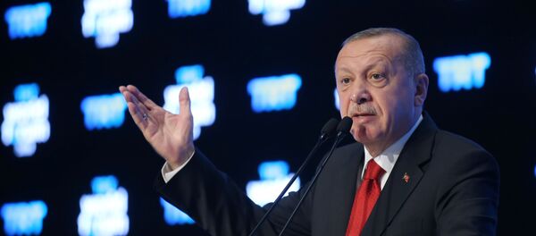 الرئيس التركي رجب طيب أردوغان - سبوتنيك عربي