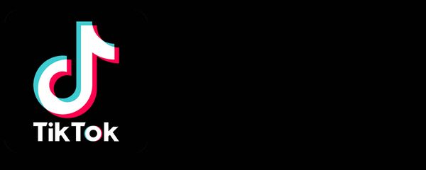 تطبيق تيك توك - سبوتنيك عربي