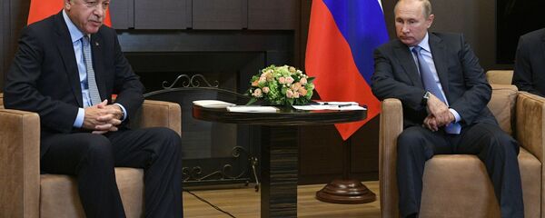 بوتين وأردوغان - سبوتنيك عربي