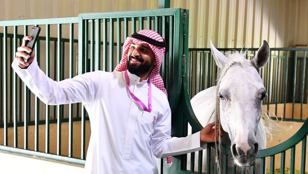 الحصان العربي في مزرعة خاصة لتربية الخيول في مدينة الظهران بالمملكة العربية السعودية - سبوتنيك عربي