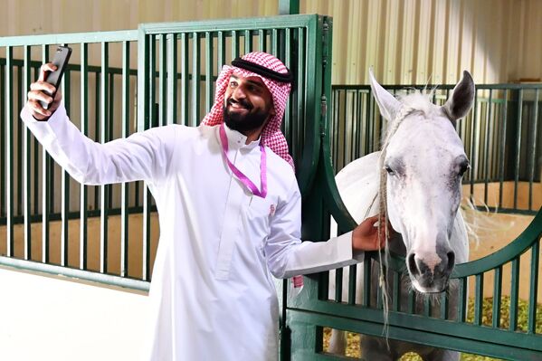 الحصان العربي في مزرعة خاصة لتربية الخيول في مدينة الظهران بالمملكة العربية السعودية - سبوتنيك عربي