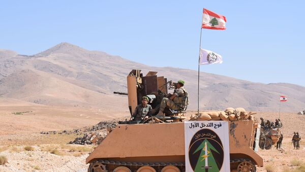 صور أرشيفية - الجيش اللبناني، 2017 - سبوتنيك عربي