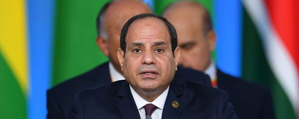 رئيس جمهورية مصر العربية عبد الفتاح السيسي في الجلسة العامة الأولى للقمة الروسية - الأفريقية في سوتشي - سبوتنيك عربي