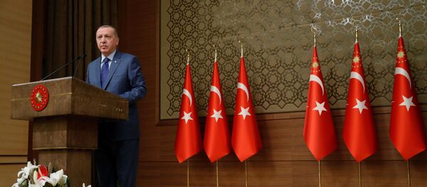 أردوغان - سبوتنيك عربي