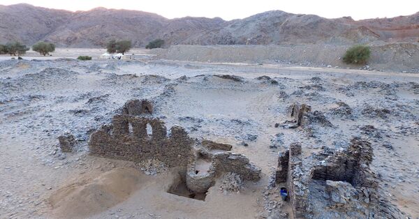 بدلا من الذهب... العلماء الروس يعثرون على كنز أسرار بالقرب من مثلث حلايب - سبوتنيك عربي