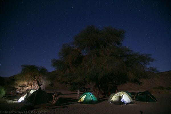 بدلا من الذهب... العلماء الروس يعثرون على كنز أسرار بالقرب من مثلث حلايب - سبوتنيك عربي