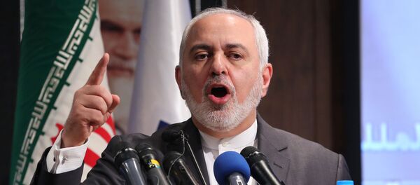 وزير الخارجية الإيراني محمد جواد ظريف - سبوتنيك عربي