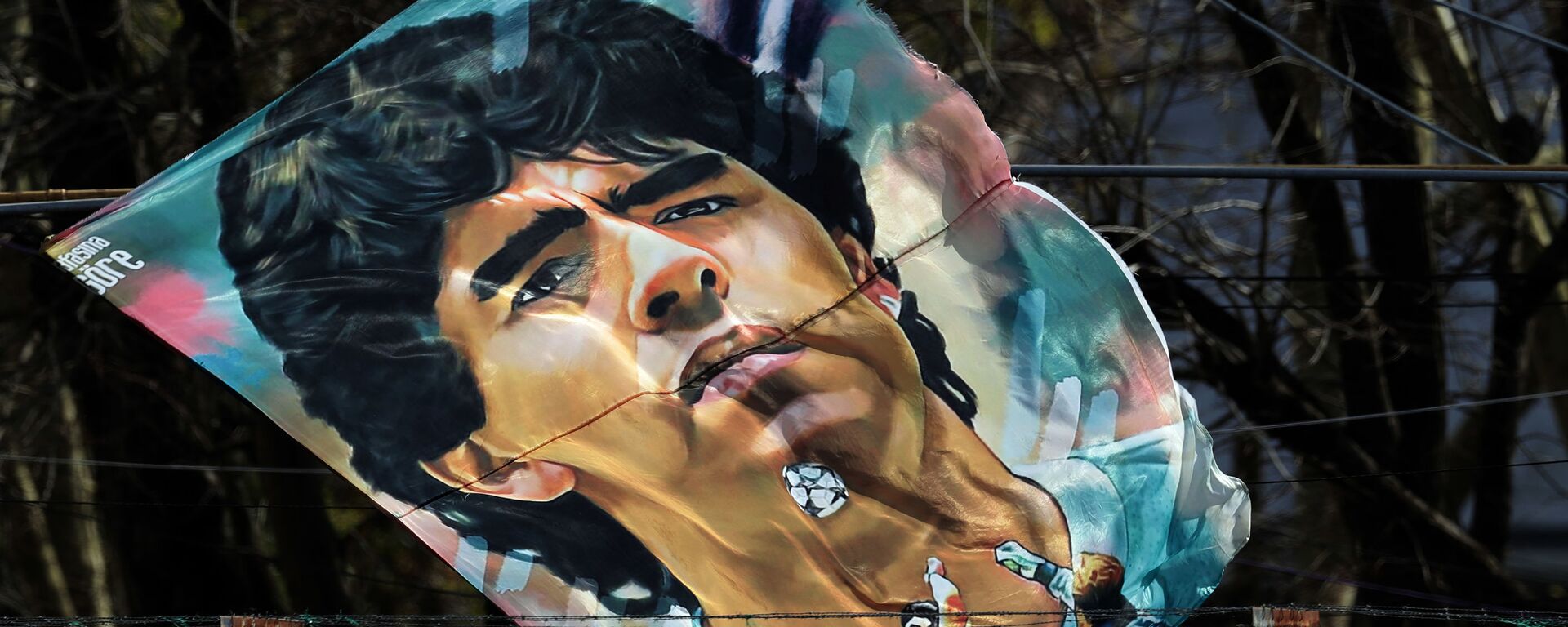 مارادونا - سبوتنيك عربي, 1920, 25.11.2020