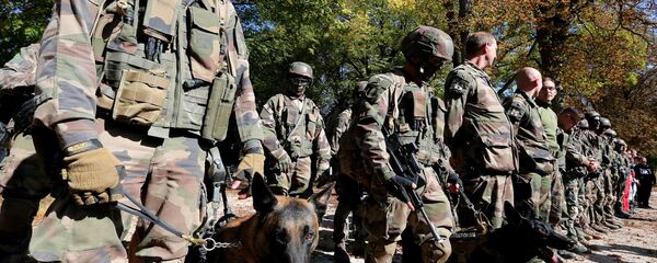 كلاب الجيش - سبوتنيك عربي