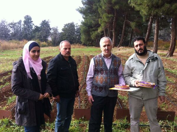 سوريا تستأنف زراعة الذهب الأحمر فرصة كبيرة لإغداق السوق العالمي - سبوتنيك عربي