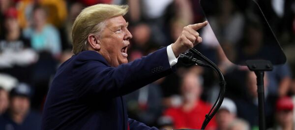 الرئيس الأمريكي دونالد ترامب - سبوتنيك عربي