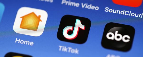 تطبيق تيك توك الذكي - سبوتنيك عربي