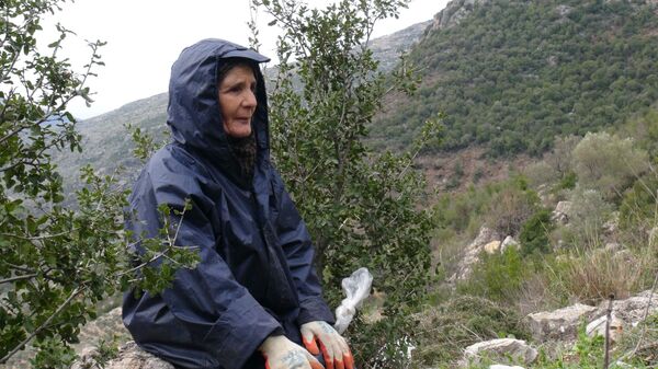 الخريج السوري يخترق موائد حميميم - سبوتنيك عربي