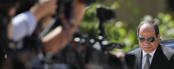 الرئيس المصري عبد الفتاح السيسي - سبوتنيك عربي