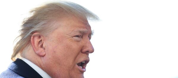 الرئيس الأمريكي دونالد ترامب - سبوتنيك عربي