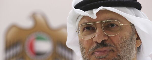 وزير الدولة الإماراتي للشؤون الخارجية أنور قرقاش وزير الدولة الإماراتي للشؤون الخارجية أنور قرقاش - سبوتنيك عربي