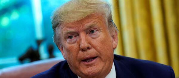 الرئيس الأمريكي دونالد ترامب - سبوتنيك عربي