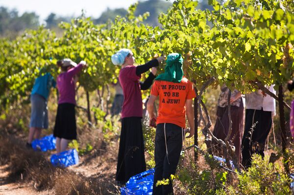 خبير قانون دولي: حكم وسم منتجات الاحتلال الإسرائيلي تاريخي وهذه الأسباب - سبوتنيك عربي