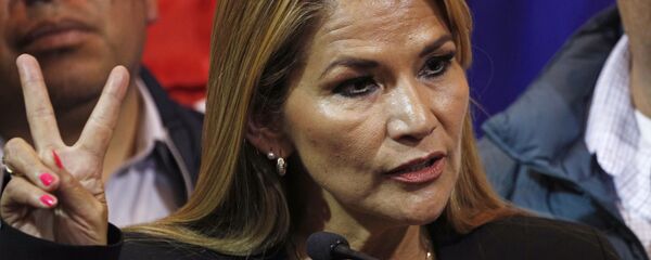 نائبة مجلس الشيوخ في بوليفيا جانين آنيز - سبوتنيك عربي