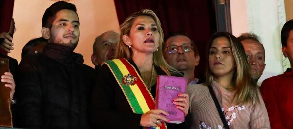 نائبة مجلس الشيوخ في بوليفيا جانين آنيز - سبوتنيك عربي