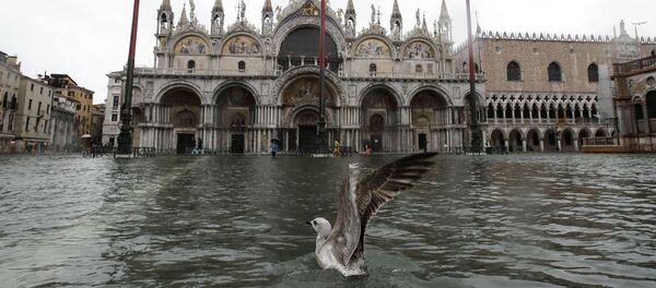 فياضانات في فينيسا (البندقية) - ساحة سان ماركو، إيطاليا 12 نوفمبر 2019 - سبوتنيك عربي