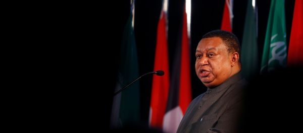 الأمين العام لمنظمة أوبك باركيندو يلقي خطابه في فيينا - سبوتنيك عربي