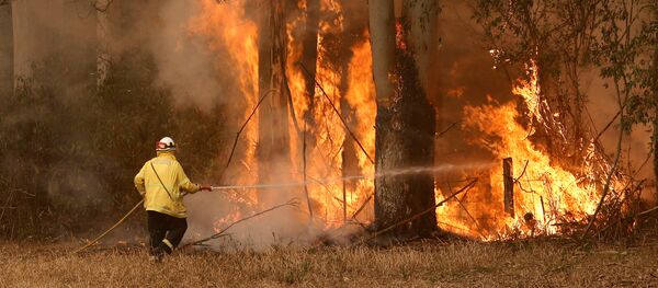 إطفاء الحرائق في أستراليا، نوفمبر 2019 - سبوتنيك عربي