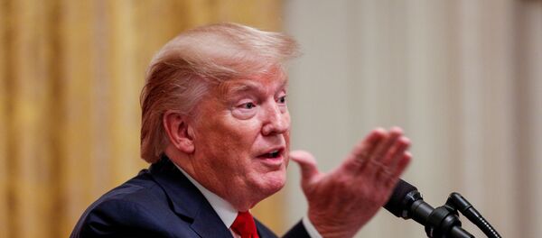 الرئيس الأمريكي دونالد ترامب - سبوتنيك عربي