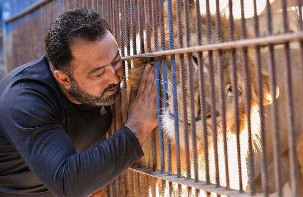 بالفيديو والصور... شاب سوري يحيل منزله حديقة لأندر الحيوانات المفترسة في العالم - سبوتنيك عربي