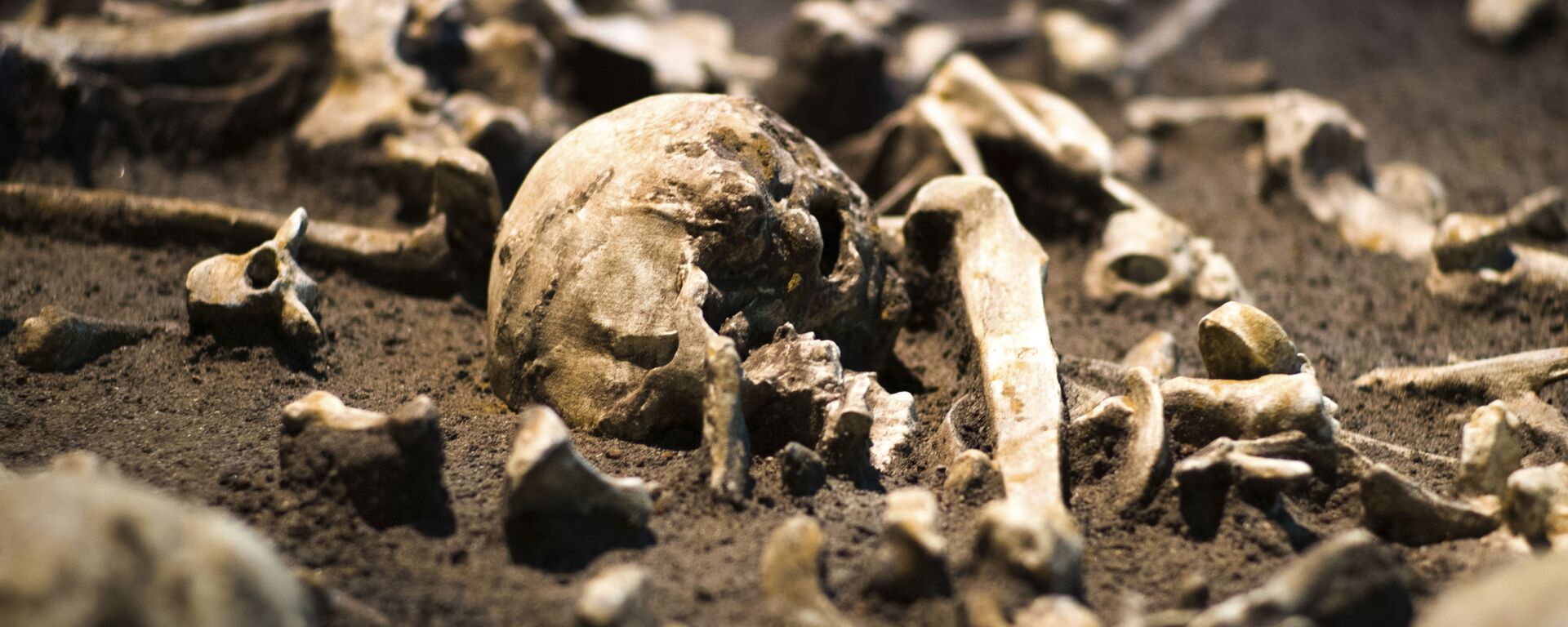 عظام بشرية  - سبوتنيك عربي, 1920, 24.01.2025