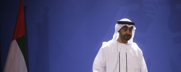 محمد بن زايد - سبوتنيك عربي