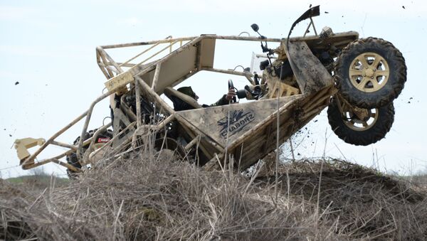 باغي تشابورز باغي تشابورز - سبوتنيك عربي