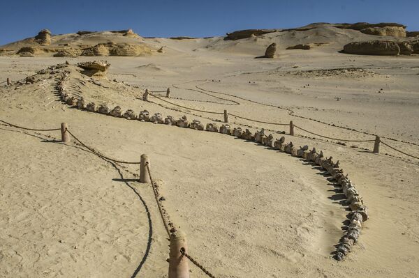 البحيرة المسحورة وغرود مويلح... أشهر أماكن للتزلج على الرمال في مصر..فيديو وصور البحيرة المسحورة وغرود مويلح... أشهر أماكن للتزلج على الرمال في مصر..فيديو وصور - سبوتنيك عربي