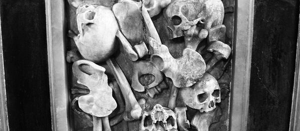 الطاعون الموت الأسود - سبوتنيك عربي