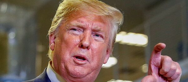 الرئيس الأمريكي دونالد ترامب - سبوتنيك عربي