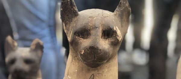 تمثال حيوان فرعوني مقدس يرجح أنه شبل أسد - سبوتنيك عربي