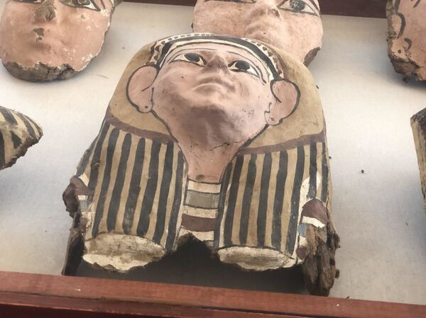 الكشف عن طيور وحيوانات مقدسة تعود لأكثر من 4000 عام... صور - سبوتنيك عربي